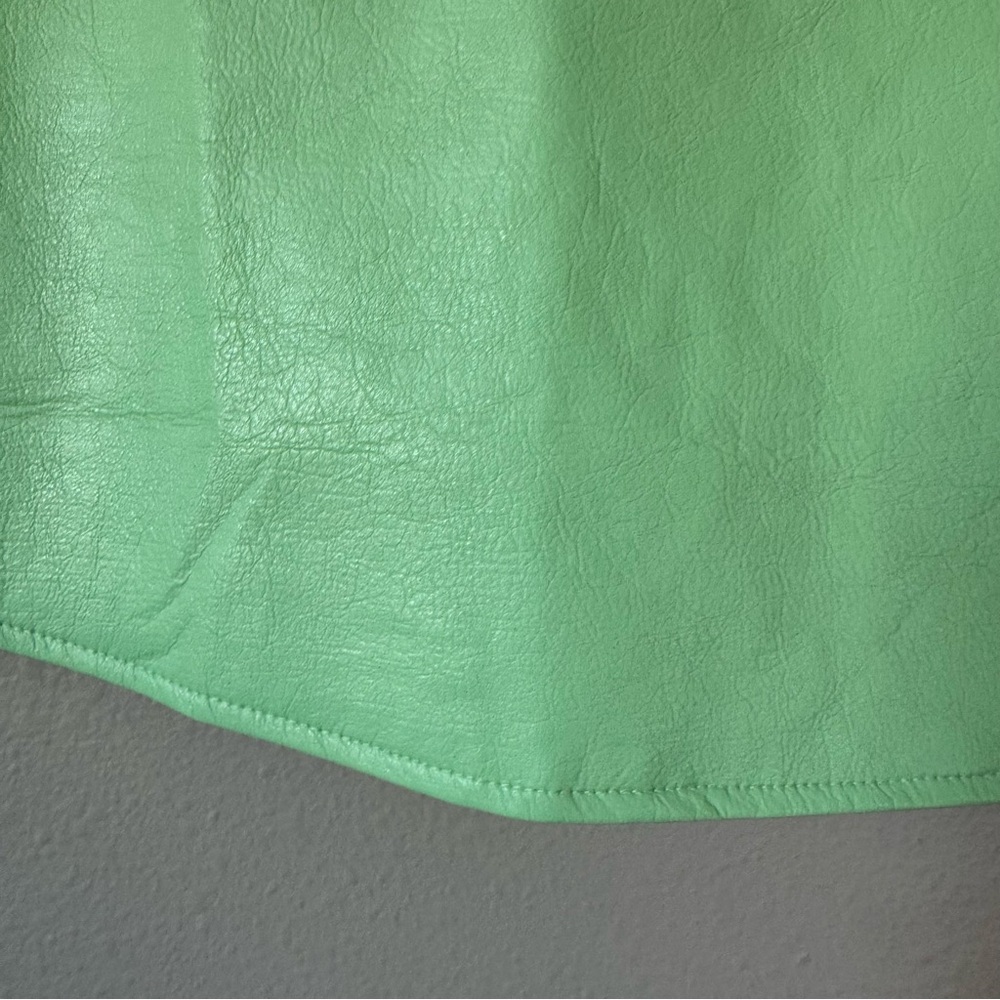 Tuckernuck Mint Chip Leather Mini Skirt - Picture 4 of 9
